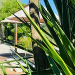 Quinta Cercas Da Costa בית נופש *