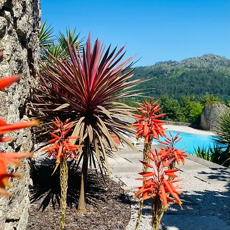 Quinta Cercas Da Costa