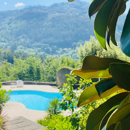 Quinta Cercas Da Costa