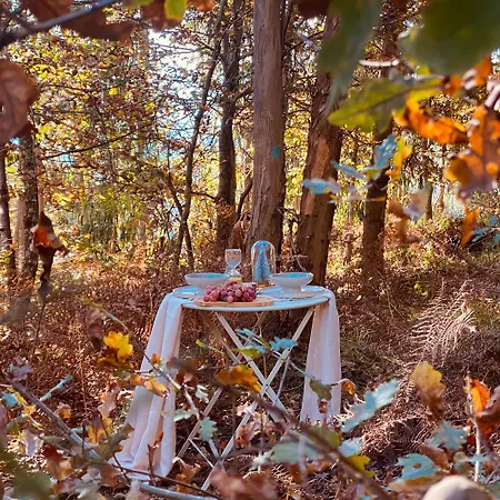 Quinta Cercas Da Costa Vakantiehuis