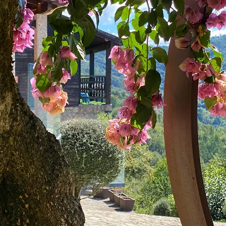 Vakantiehuis Quinta Cercas Da Costa