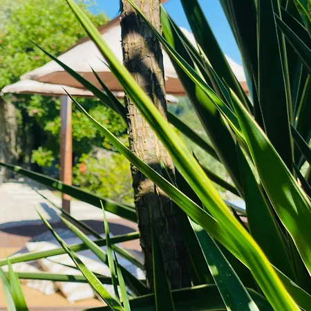 Quinta Cercas Da Costa Vakantiehuis *