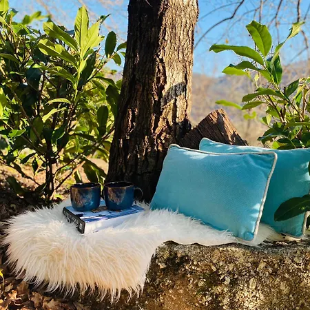 Quinta Cercas Da Costa Vakantiehuis Vieira do Minho