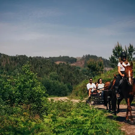 Quinta Cercas Da Costa