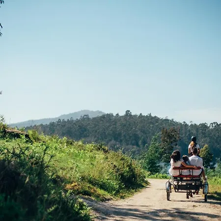 Vakantiehuis Quinta Cercas Da Costa Vieira do Minho
