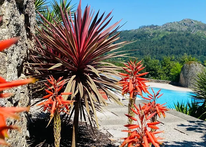 Quinta Cercas Da Costa