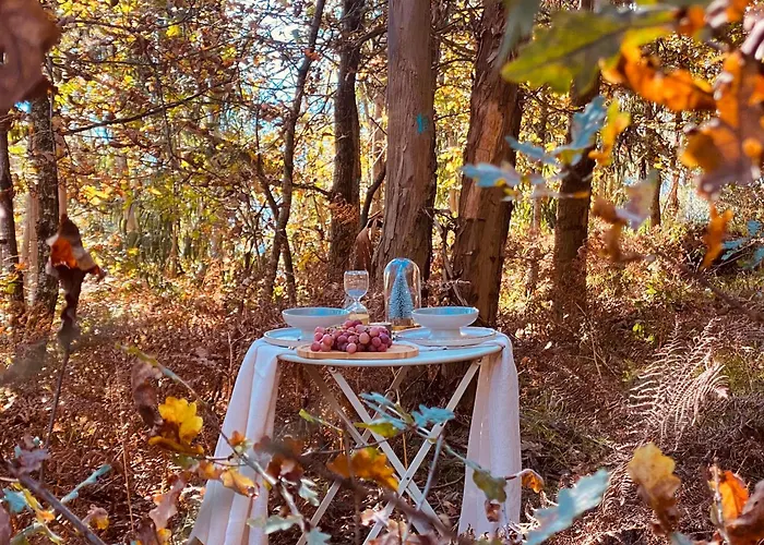 Quinta Cercas Da Costa Semesterbostad