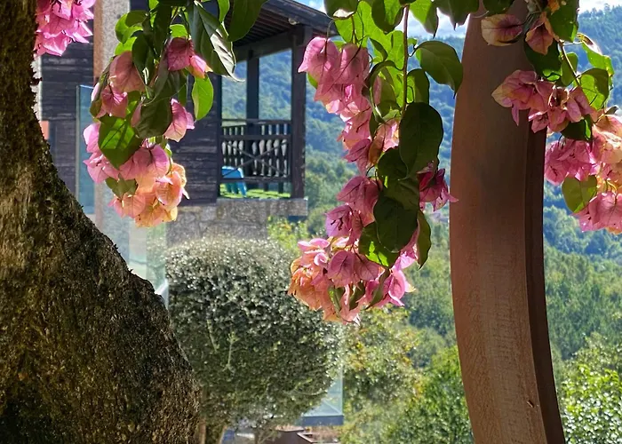 Дом отдыха Quinta Cercas Da Costa