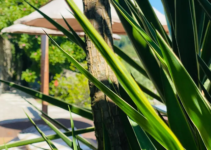 Quinta Cercas Da Costa Semesterbostad *