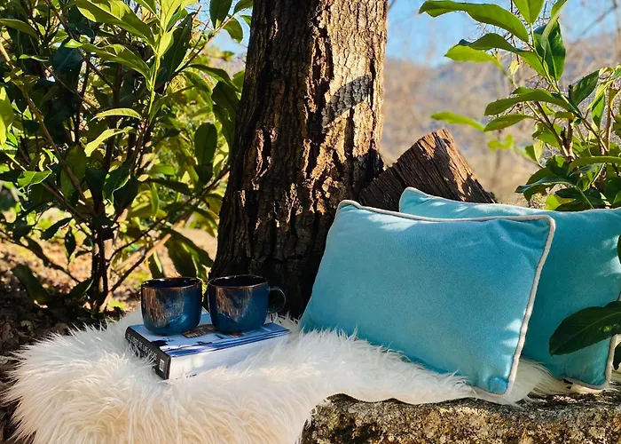 Quinta Cercas Da Costa Prázdninový dům Vieira do Minho