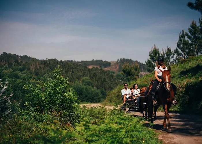 Quinta Cercas Da Costa