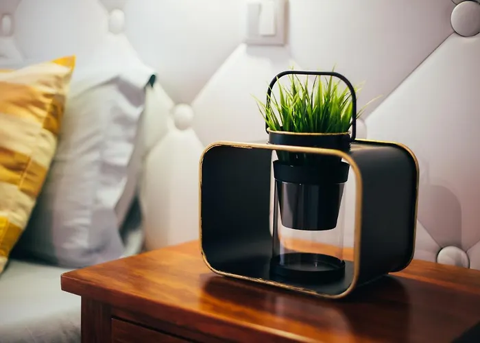 Quinta Cercas Da Costa * Vieira do Minho